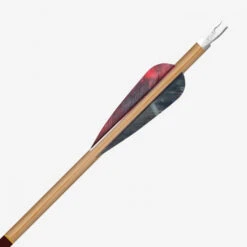 GOLD TIP - Flèche Carbone TRADITIONAL CLASSIC